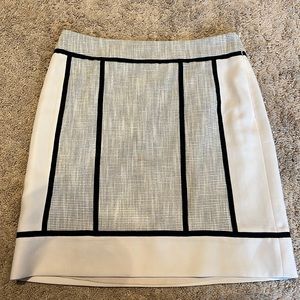 Ann Taylor Skirt
